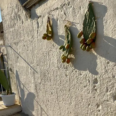 Musciu Ti Lammia 2 Manduria